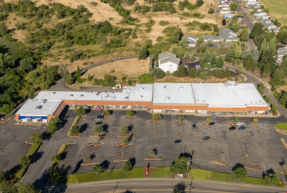 Valley View Plaza