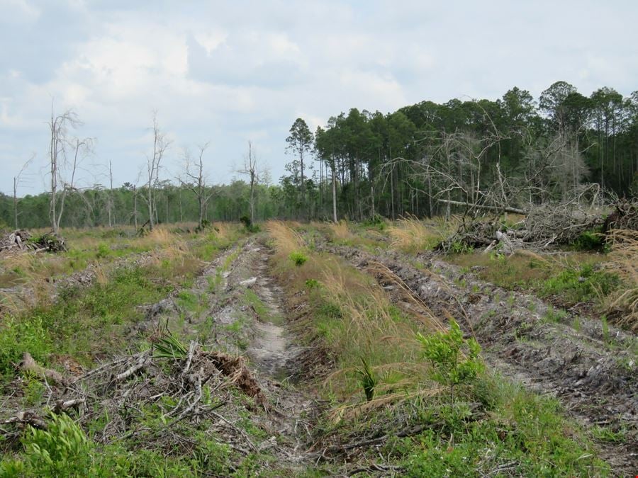 McGee Branch West Tract