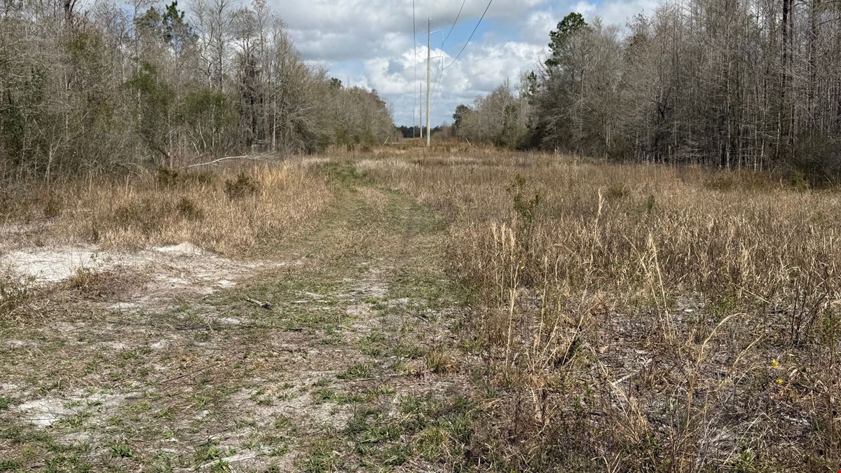 65 Acres Near Lake Seminole – Hunting and Recreation Land