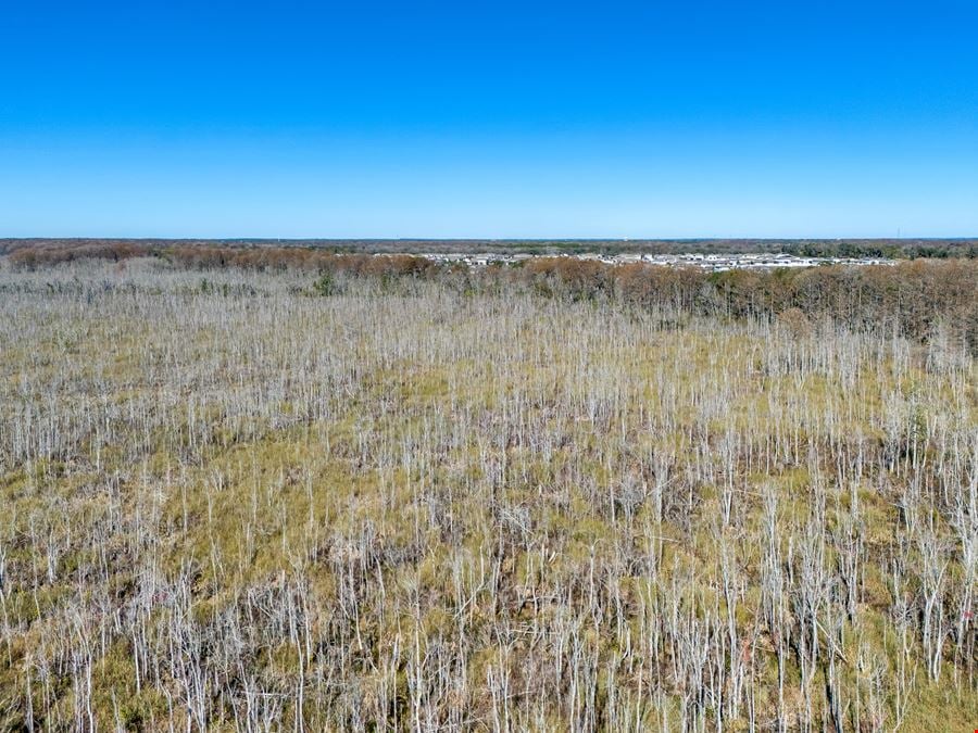 Leesburg 80-Acre Recreational Tract