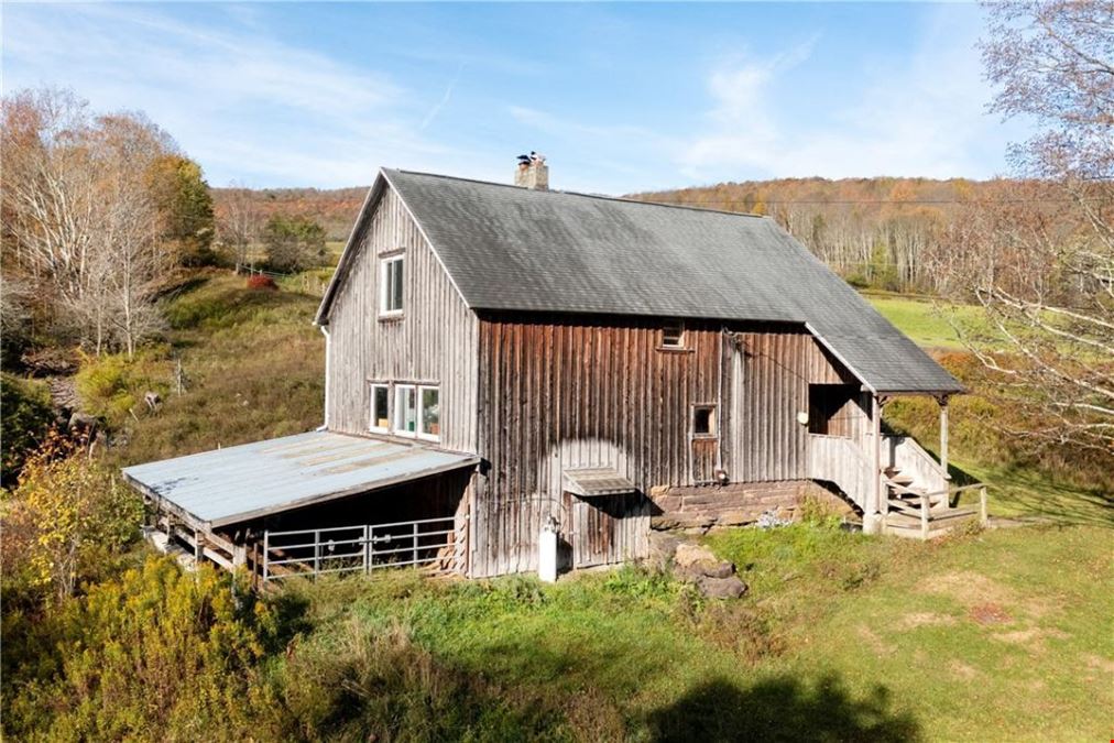 3536 New Kingston Mountain Rd