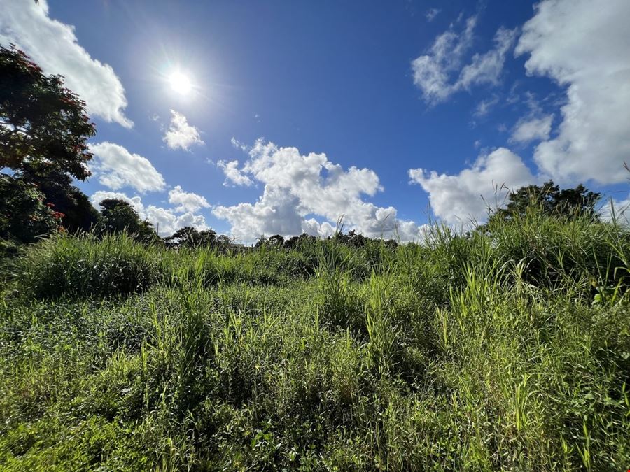 Las Piedras Industrial Park - Vacant Lots 12 & 13 - For Sale