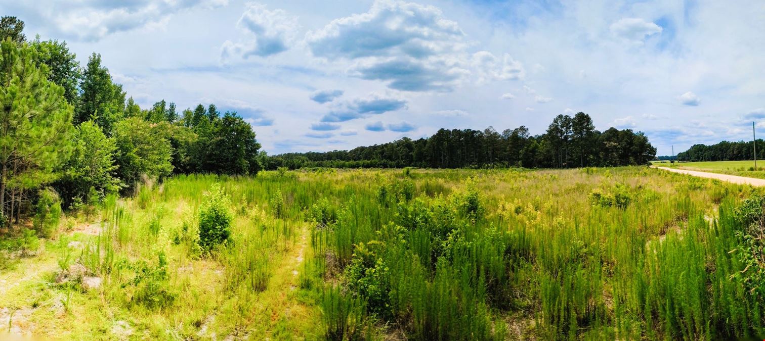 ±336 Acres Balfour & McNeill Lake Rd