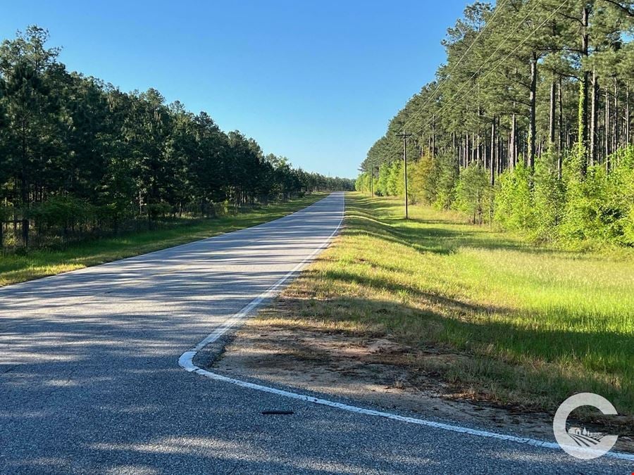 21.97 Acres of Versatile Land Near Florida & Georgia - Ideal for Homes, Recreation, and Investment