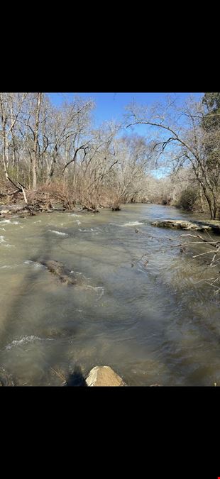Town Creek Timber 40 Acres