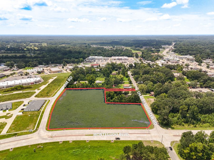 Development Opportunity with Triple Frontage near Walmart