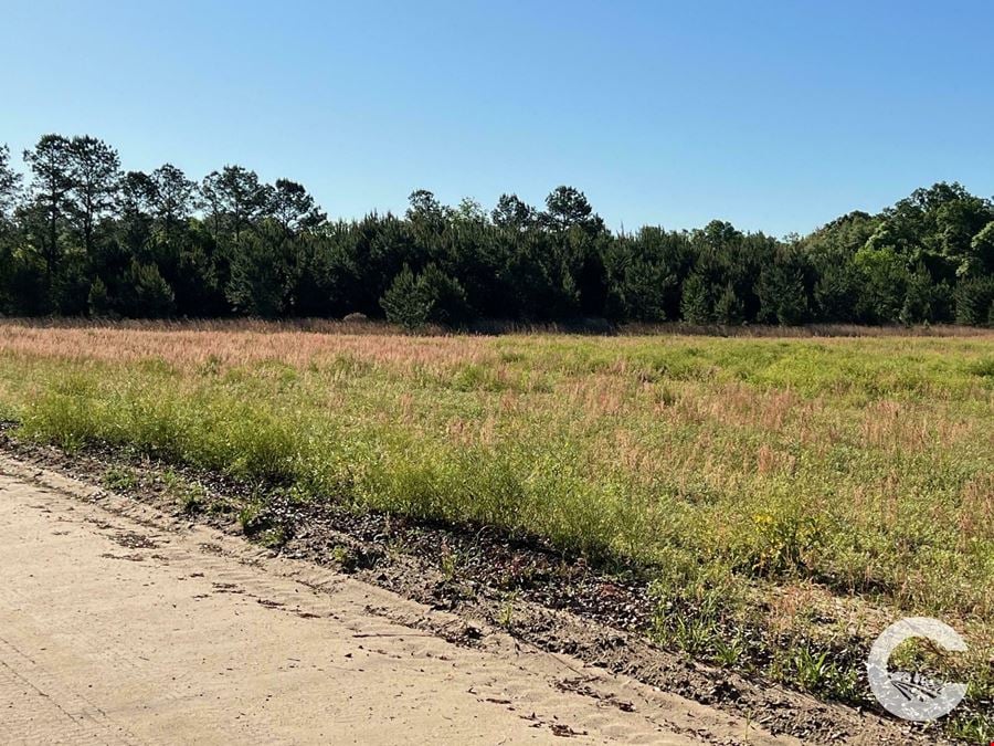 21.97 Acres of Versatile Land Near Florida & Georgia - Ideal for Homes, Recreation, and Investment