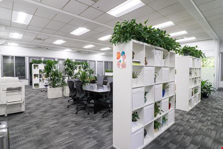 Preview of Coworking space for Rent