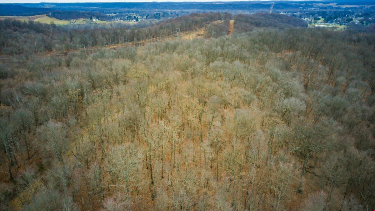41.5 Acres Burch Drive NE