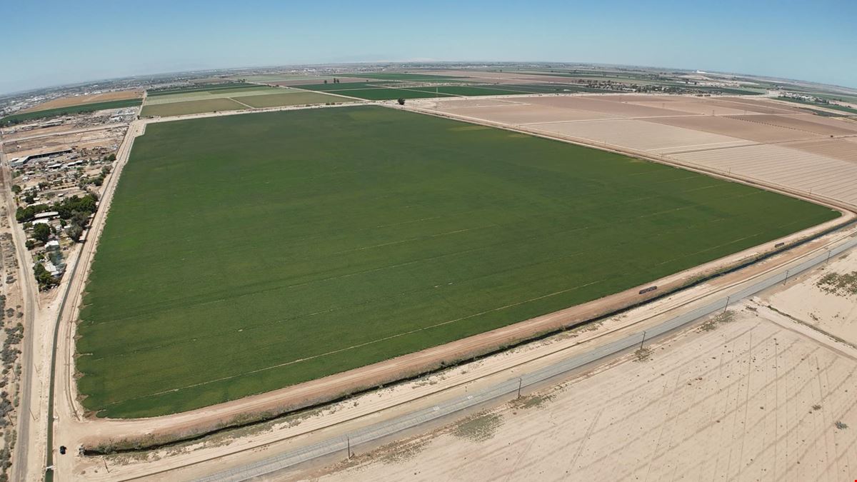 Acacia 86A and 87
