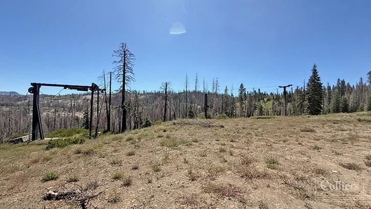 99981 Mormon Emigrant Trail