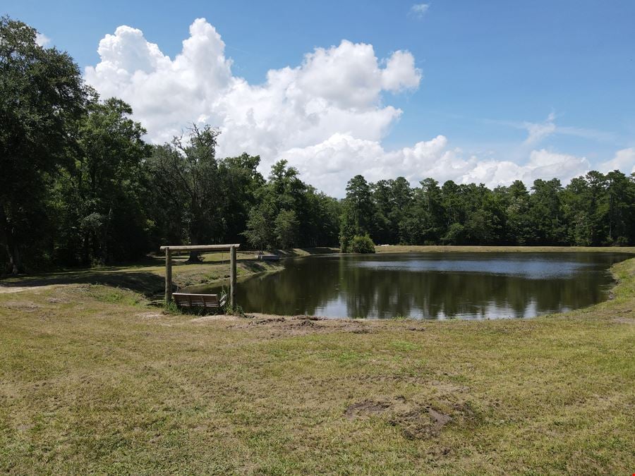 30.53 Acres for Sale with Edisto River Access