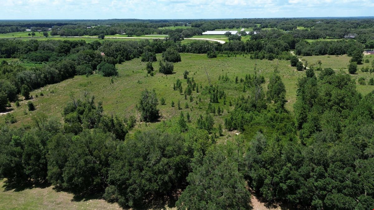 25.5 +/- Acres in Horse Country