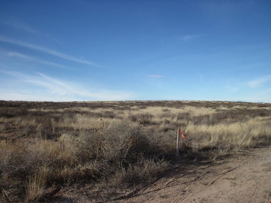 17 Mesa Rd