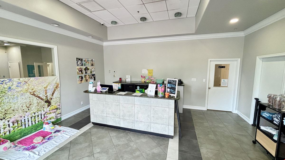 Dog Boarding Business & Real Estate