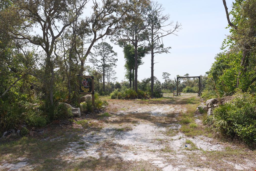 Spring Warrior Cove