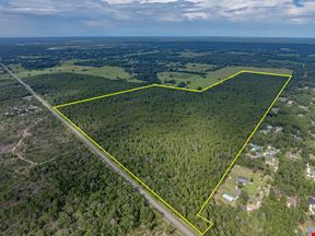 Floral City 205 Acres