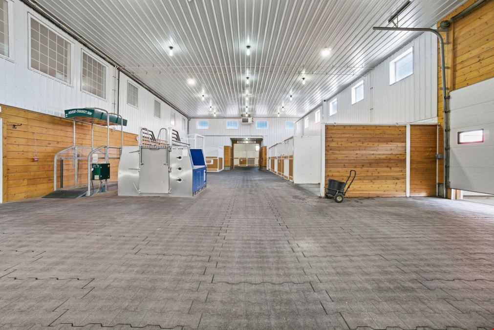 World-Class Equestrian in Central Alberta (Canada)