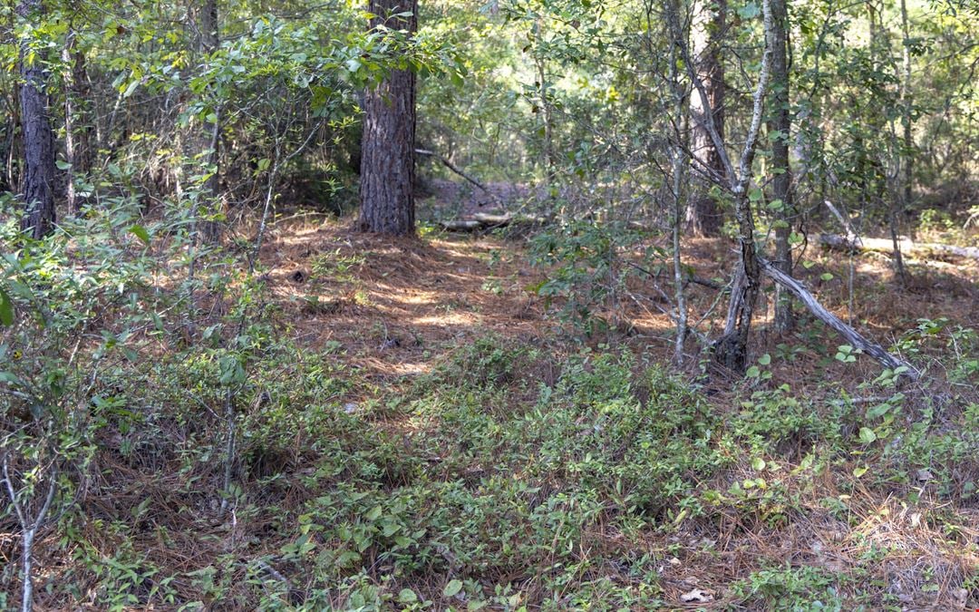 Well-Located 6.48 Acres | University Parkway Corridor | Aiken, SC