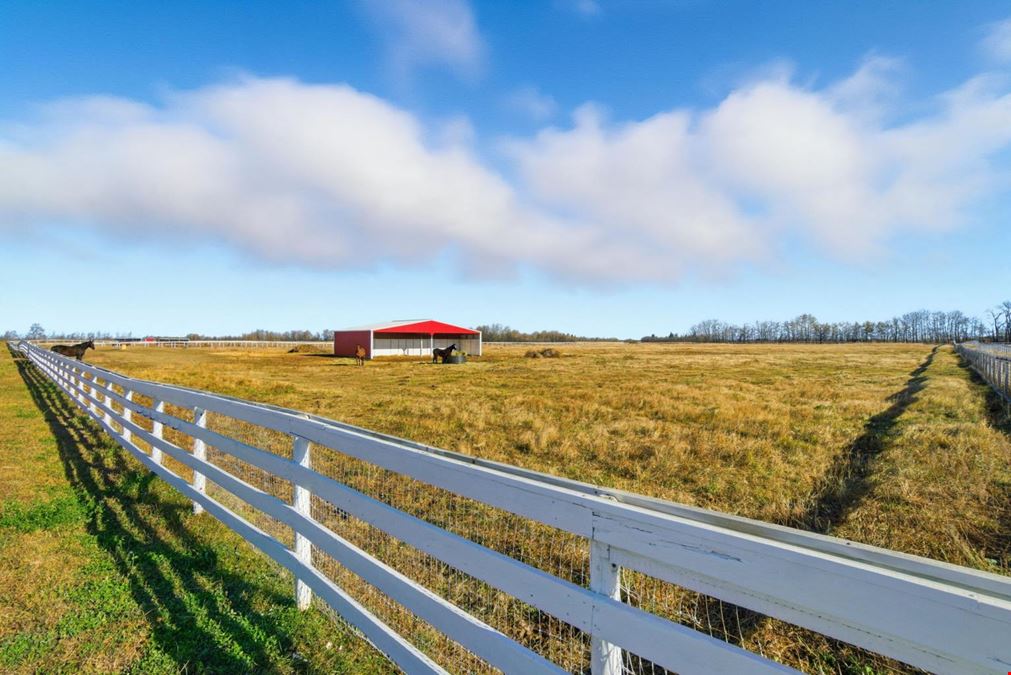 World-Class Equestrian in Central Alberta (Canada)