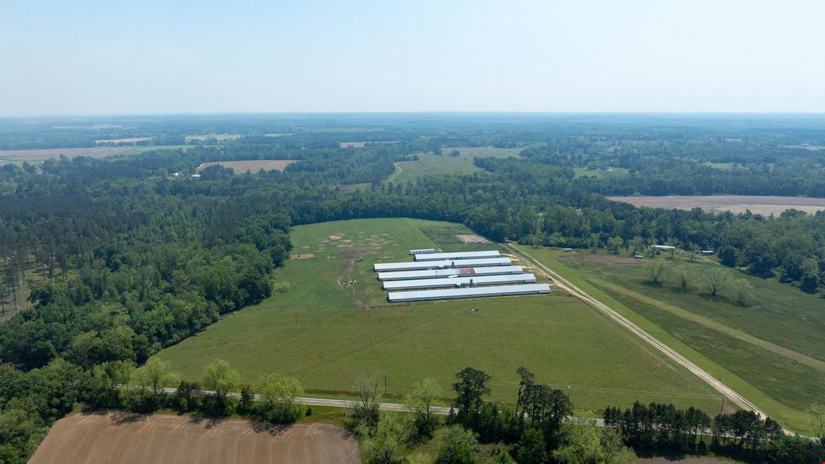 Tired Creek Chicken House and Game Farm