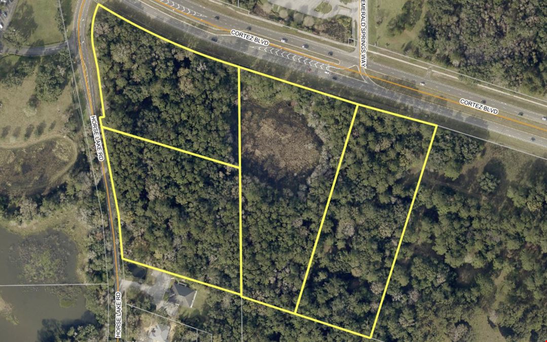 Brooksville Multifamily Development Land