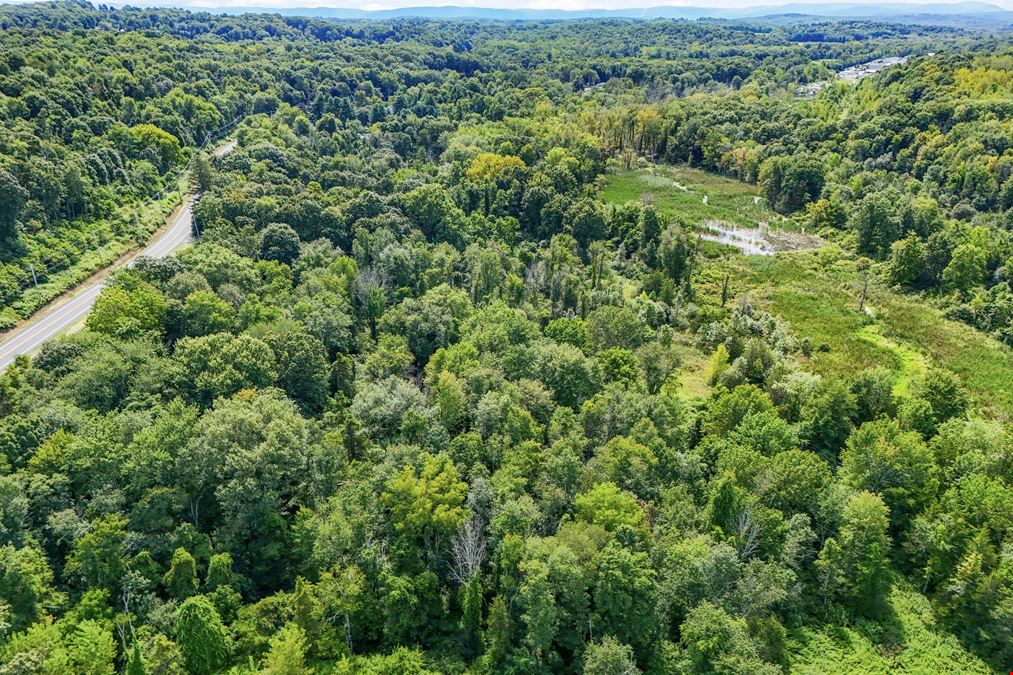 49 Acre Development Site - Municipal Water and Sewer