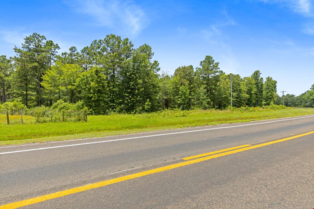 Strategic Land Investment in Trinity