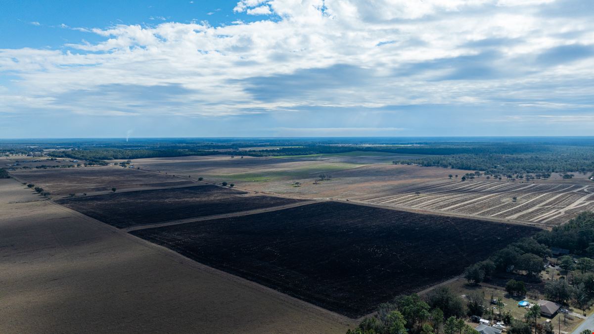 600 Acre Marion County Farm