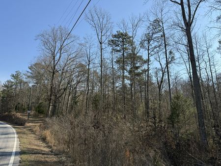 Preview of VacantLand space for Sale at 3699 Evans Mill Road