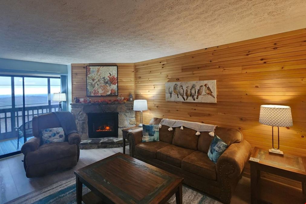1102 Ski View Dr Unit 208