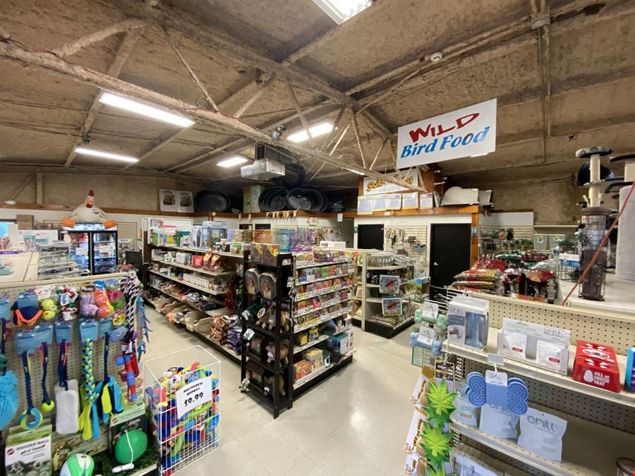 Free Standing Commercial