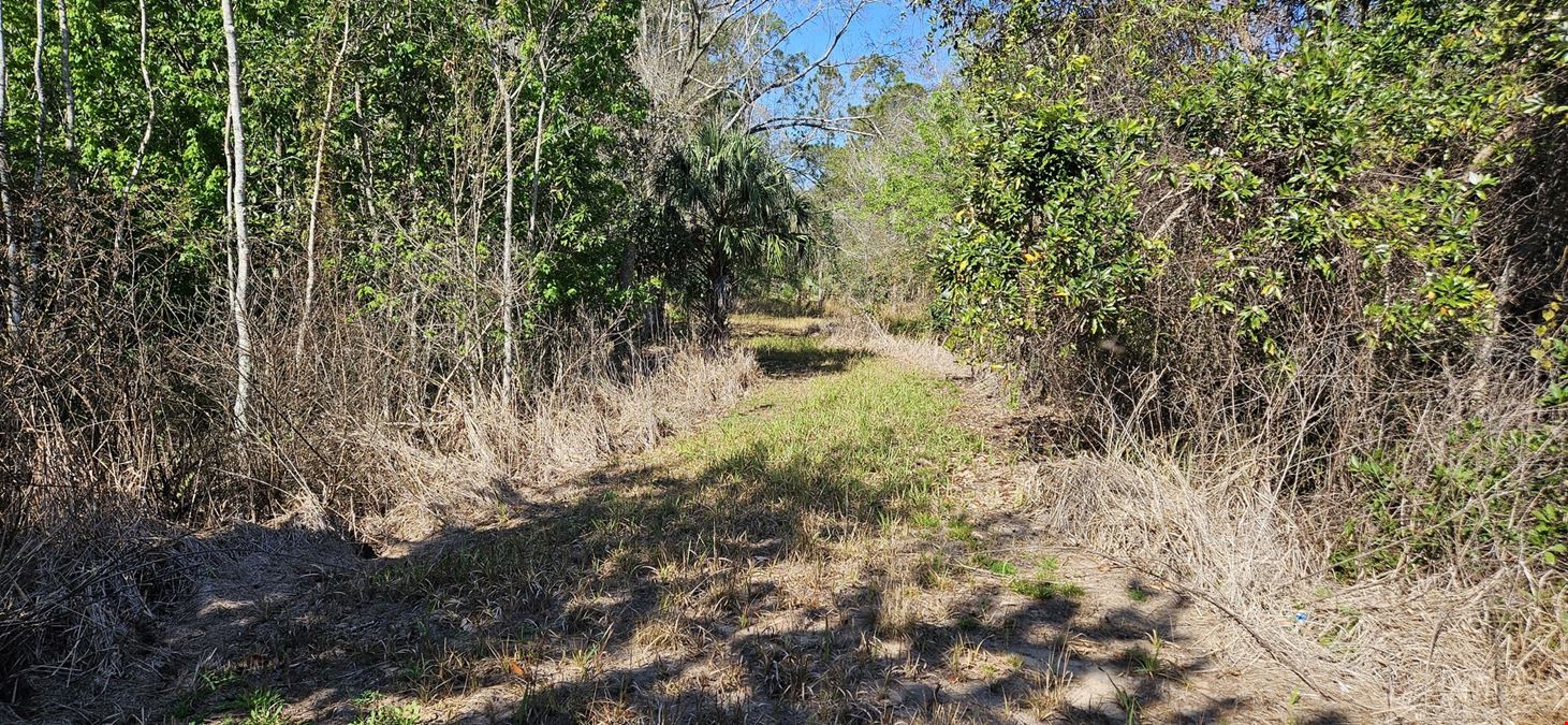 47± Scenic Wooded Acres with Trails, Wildlife, and Lake Access