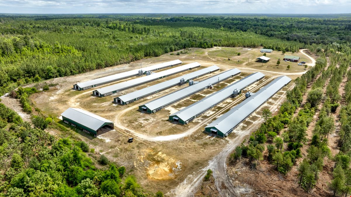Timber Ridge Farm - Poultry and Homeplace Package