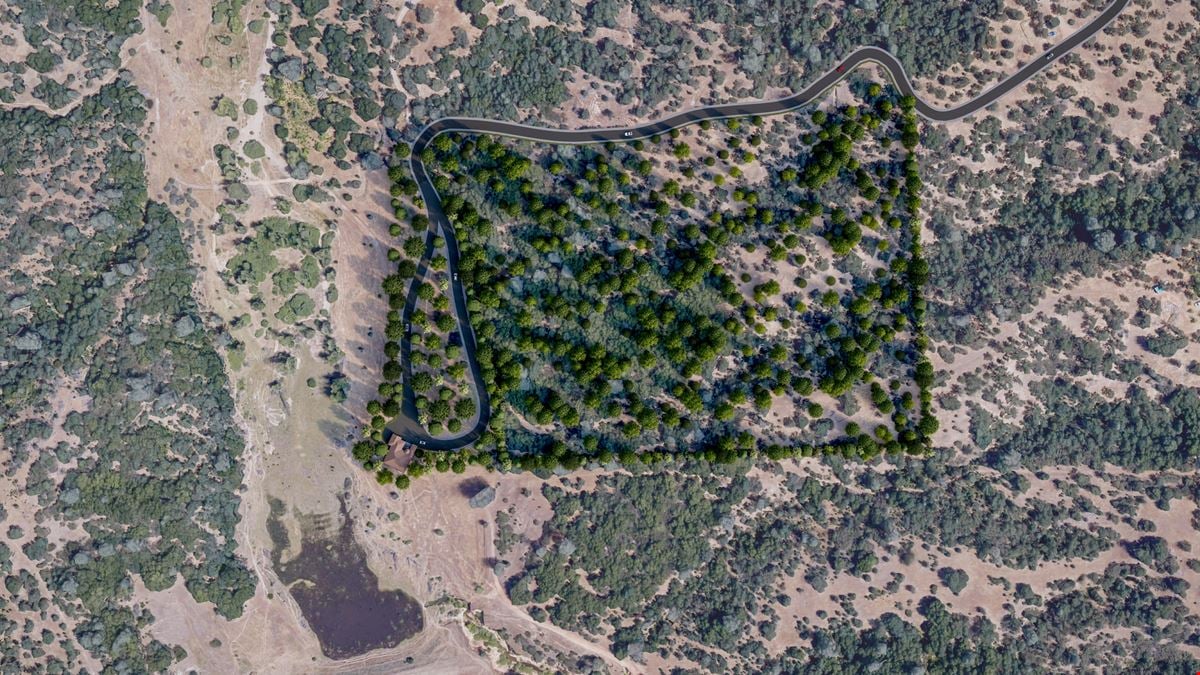 ±20.66 Acres of Level Land in Happy Valley, CA