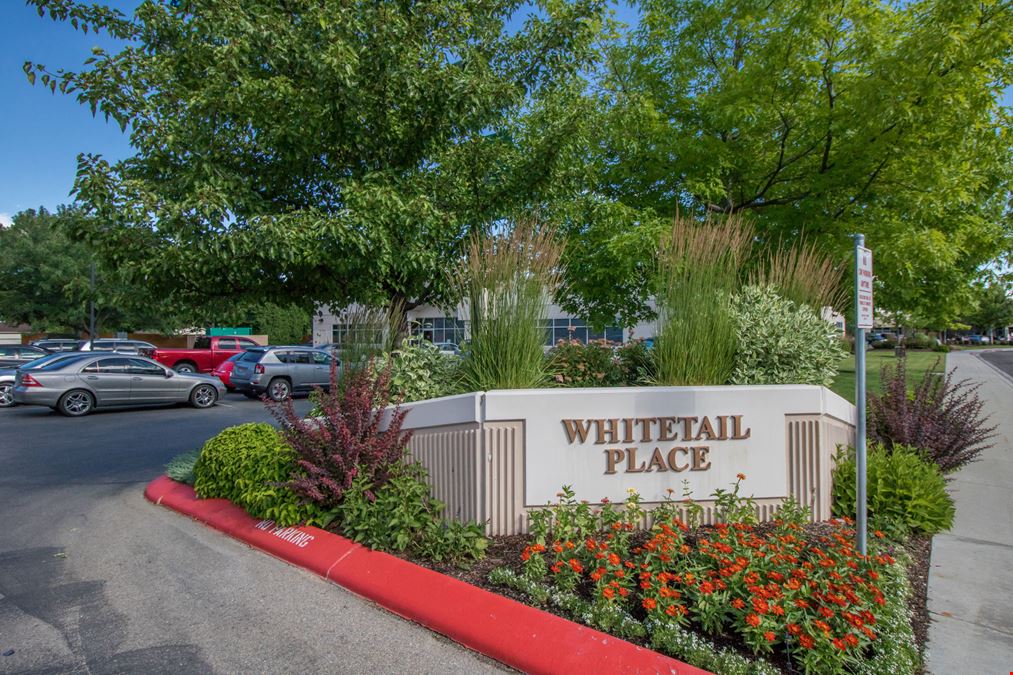 Whitetail Place