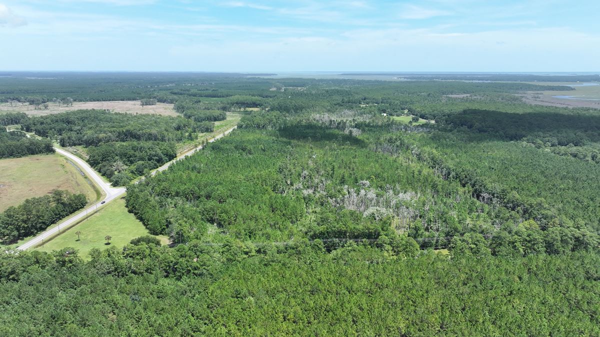 430 Development Acres in McIntosh County Georgia