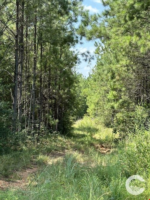 256 +/- Acre Investment Opportunity in Brewton, AL