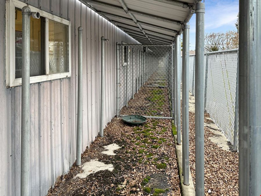 Dog Kennel 