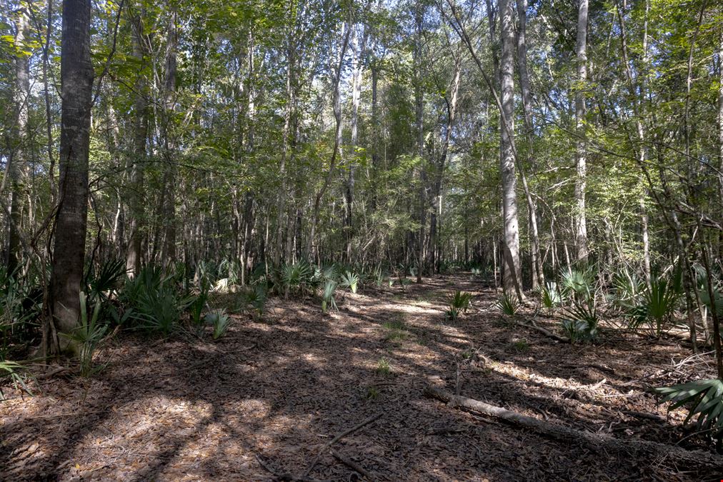 Dodge County River Property