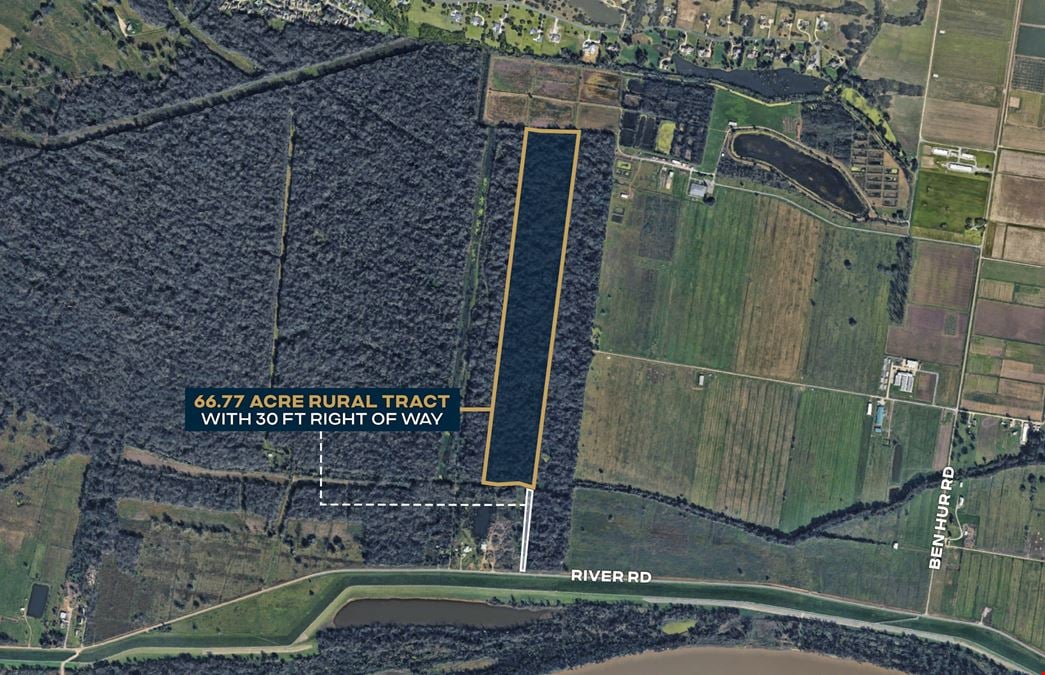 66.77 Acre Rural Tract near River Road and Ben Hur Road