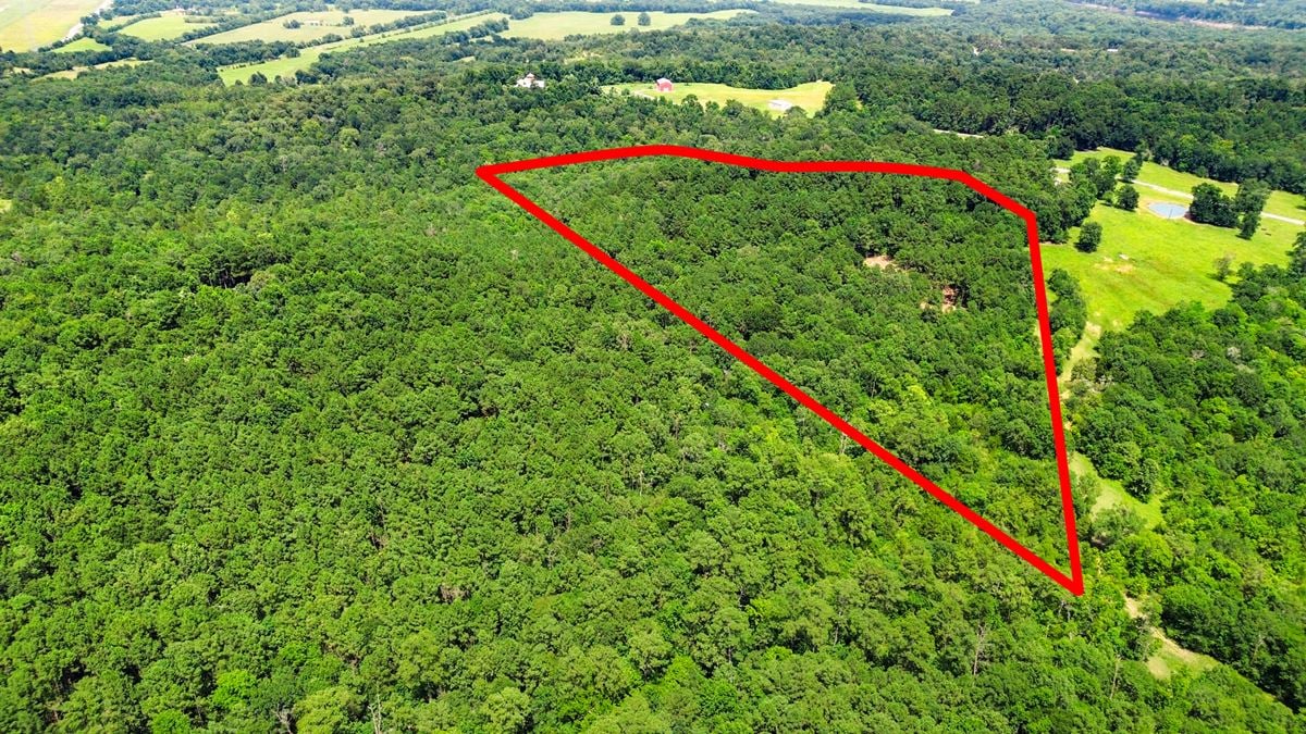 ±5.15 Acres Unrestricted in Coldspring – Ideal for Commercial, Mixed-Use, or Investment Development