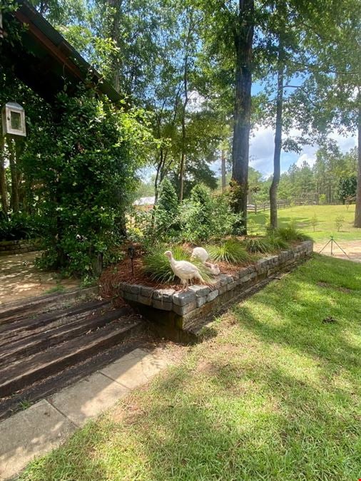 467 Sepulga River Lane