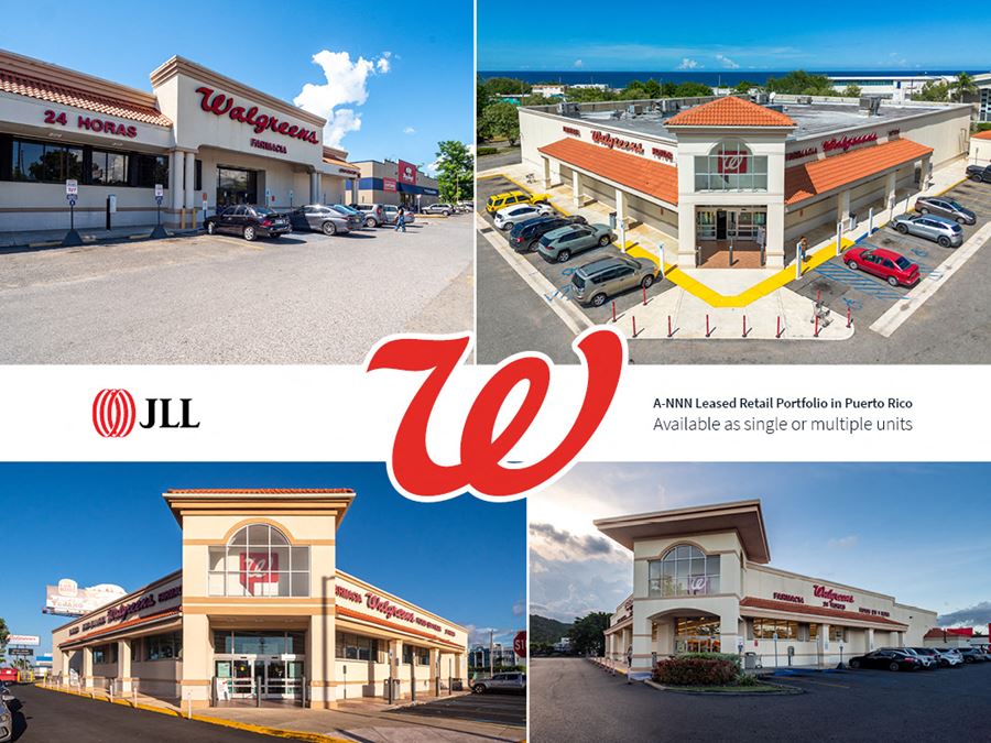 A-NNN Leased Retail Portfolio in Puerto Rico