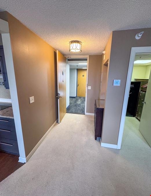 Downtown Condo - 220 Broadway Ave S #1211