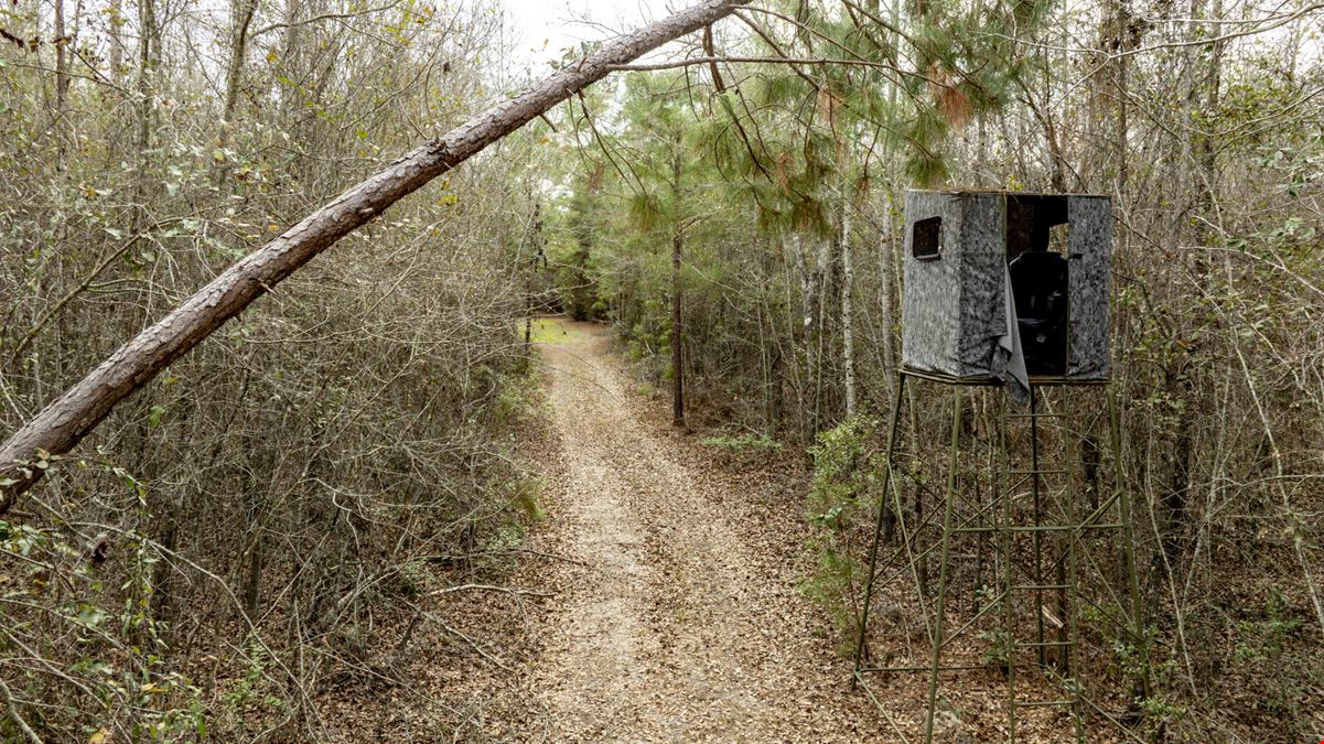 Telfair Tract 1