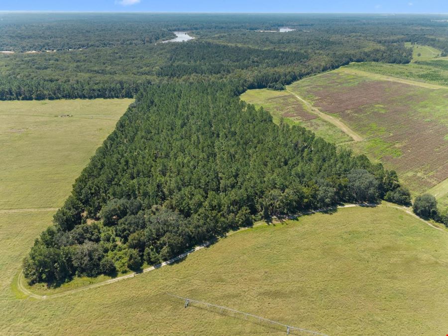 1726 GA Hwy 147