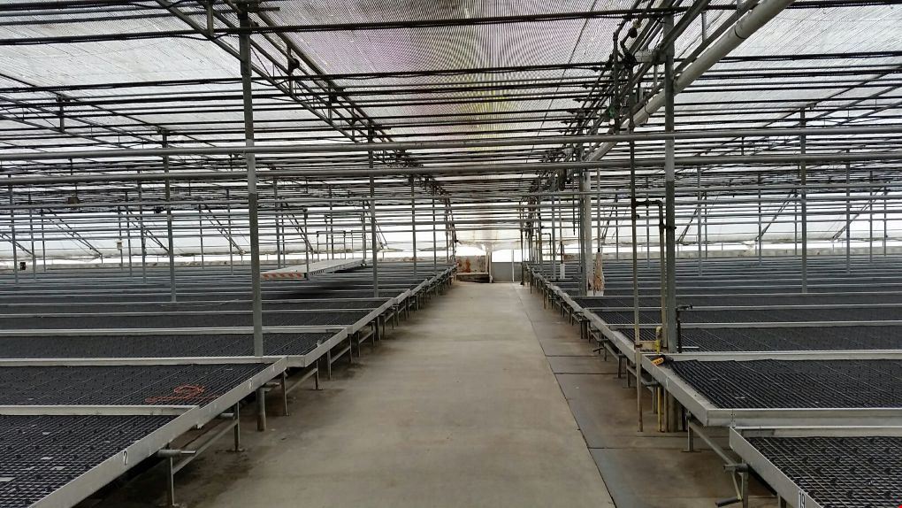 Brightwater Farm