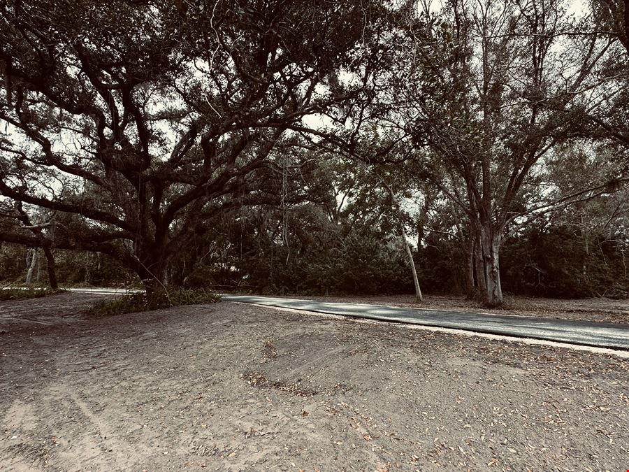 Executive Homesite - 4.19 Acres, Florida