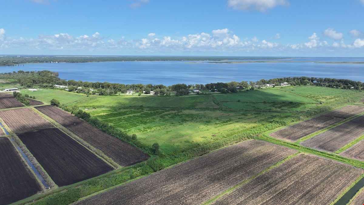 Lake Istokpoga Farmland